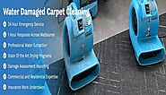 A Professional Emergency Carpet Drying Or Rehabilitation Strategy