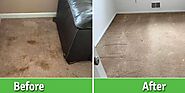 Importance Of Drying Wet Carpet With Professionals