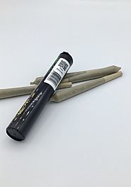 CBD pre rolls