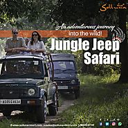 Jungle Safari in Corbett | Solluna Resort - freeprachar.com