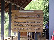 Wasgamuwa National Park