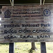 Bundala National Park