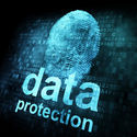 How You Can Complement Data Security Solutions to Safeguard Your Business