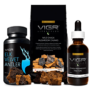 All Things You Wanted To Know About Chaga Mushroom