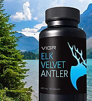 Purchase Elk Velvet Antler Capsules Online