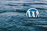 WordPress is the Best for E-commerce Store, Why?