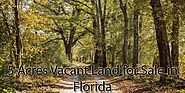 5 Acres Vacant Land for Sale in Florida - Eleven24Holdings-Orgfree.Com