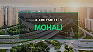 Top 12 IT Companies in Mohali