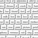 Magnetic Poetry : Play with the Kids Magnetic Poetry Kit