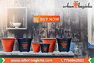 Make Your Garden Wonderful With Urban Bagicha