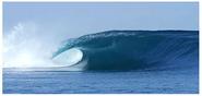Indonesia’s Perfect Wave