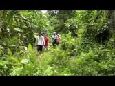 Papua New Guinea Trailer