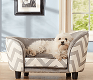 Consider These Points When Obtaining A Couch for Your Dog!