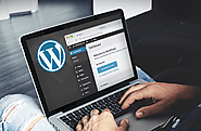 Building Non-Blog WordPress Website for Your Business- SFWPEXPERTS