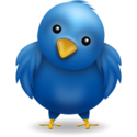 Twitter Marketing and Twitter Branding Services in India
