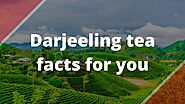 Darjeeling tea facts for you – Health Kart