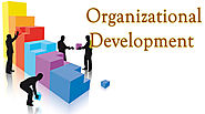 Ensure Organisational Success with Leadership Development Programs