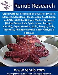 Global Octopus Market Production by Countries, Import, Export, Value Chain Analysis & Forecast