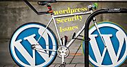 WordPress Security Issues And Tip's
