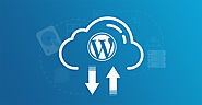 Wordpress Website Backup Service