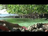 Exploring The Solomon Islands