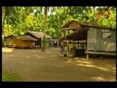 The Bill - Solomon Islands