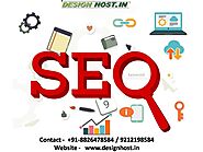 seo services in Delhi | seo company in Delhi | SEO Agency Delhi