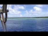 Ant atoll, pohnpei,Micronesia