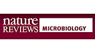 Microbial ultraviolet sunscreens | Nature Reviews Microbiology