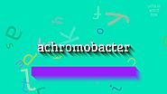 How to say "achromobacter"! (High Quality Voices)