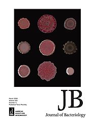 Isolation and Characterization of Carotenoid Pigments of Micrococcus roseus | Journal of Bacteriology