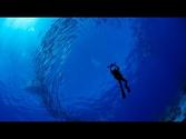 National Geographic Live! - Enric Sala: Journey to the Pitcairn Islands