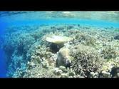 Pohnpei Tourism Video