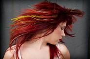 Feather Hair Extensions | Real Feather Hair Extension on Sale