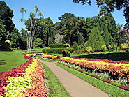 Botanical Garden of Peradeniya