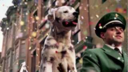 Budweiser Dog Commercial