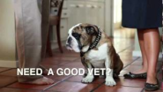 BarleysList.org Funny Dog Commercial