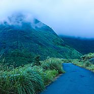 Munnar Tour Packages -Book Munnar Holiday Online for 2 days | Seasonz India Holidays .