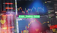 Eight Forex Terms Every Trader Should Know - Forex Dost