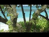 Bikini Atoll Trauminseln im Sperrgebiet 2v5