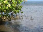 Chuuk Pictures #13