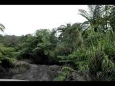 Trip to Vanuatu - Day 3 (Tanna Island, Mount Yasur, Active Volcano)