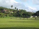 Fiji, South Pacific: Taveuni, the garden island