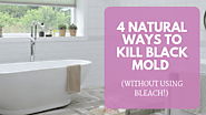 4 Natural Ways To Kill Black Mold - House Bliss Cleaning