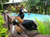 TUFI Resort Papua New Guinea Bird Watching Blyth's Hornbills