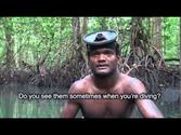 Solomon Islands: living with mangroves
