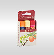 Lip balm packaging boxes