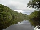 Rio Negro, Anavilhanas archipelago, Amazonas
