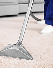 Searching For The Best Carpet Cleaning Winston Salem NC