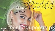 mohabbat mein nahi hai- mirza ghalib love - Best Urdu Poetry- اُردو شاعری
